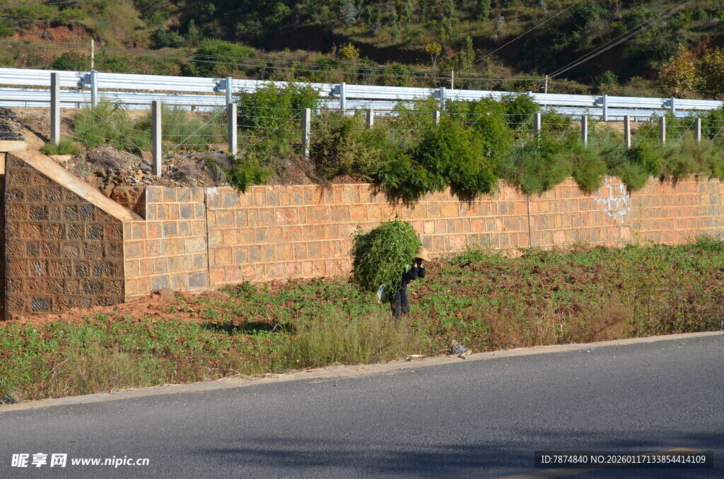 路边绿植与石砌护坡景观