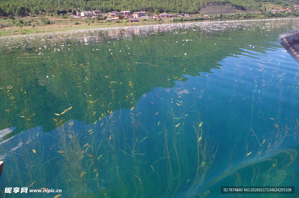 清澈湖水与水底植物景观