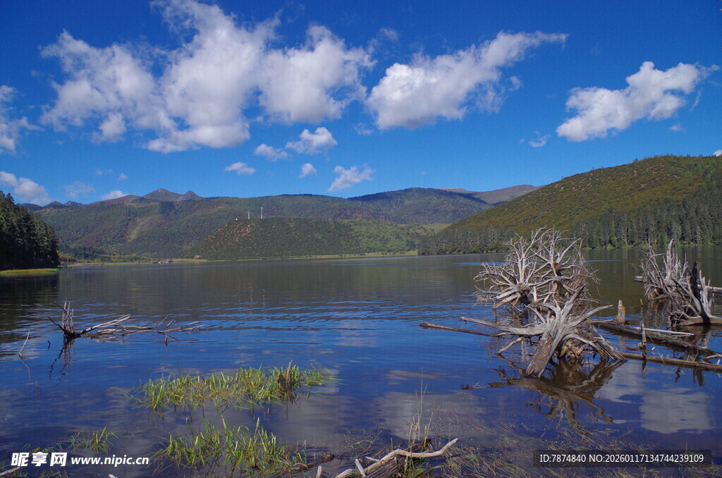 宁静湖畔的自然景致