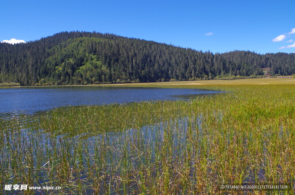 湖畔绿野风光