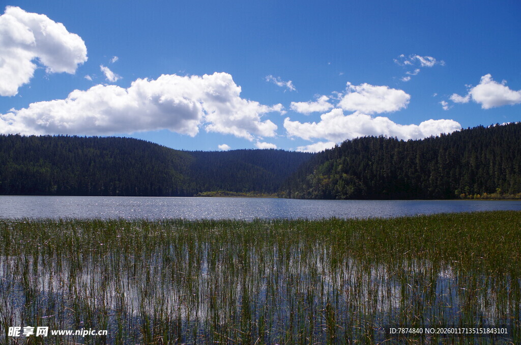 宁静湖畔 水草蓝天相衬