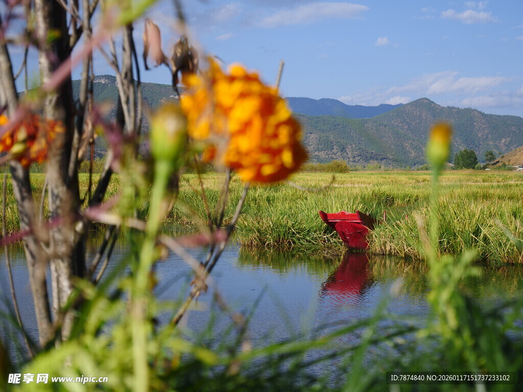 湖畔野花与远处山峦美景
