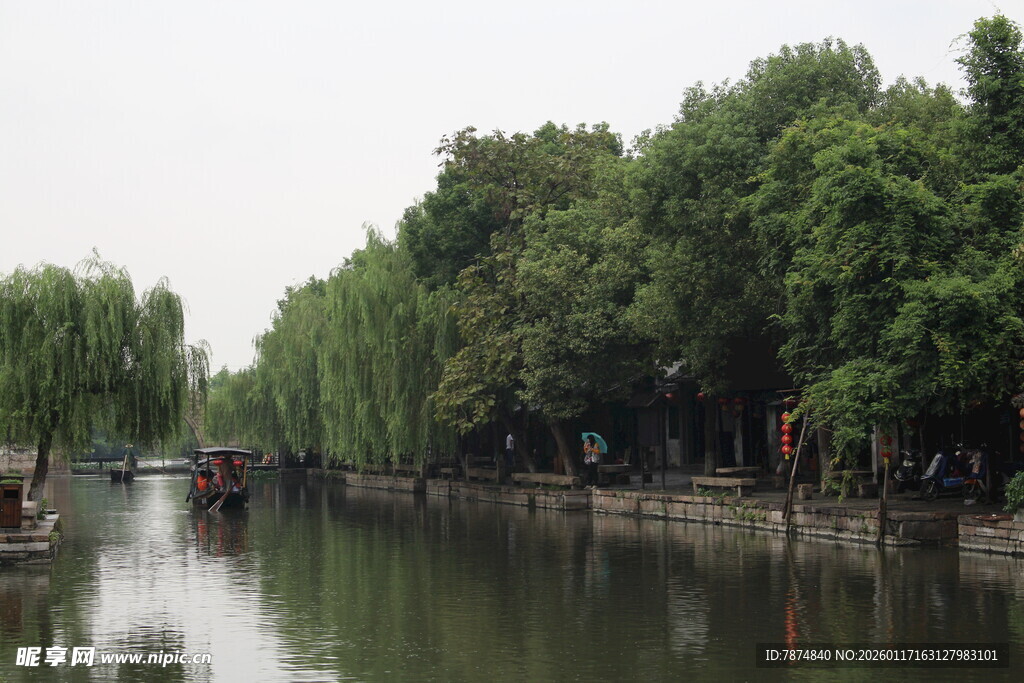 河畔垂柳映绿水