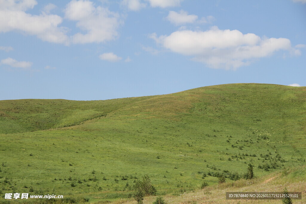 广袤绿野蓝天美景