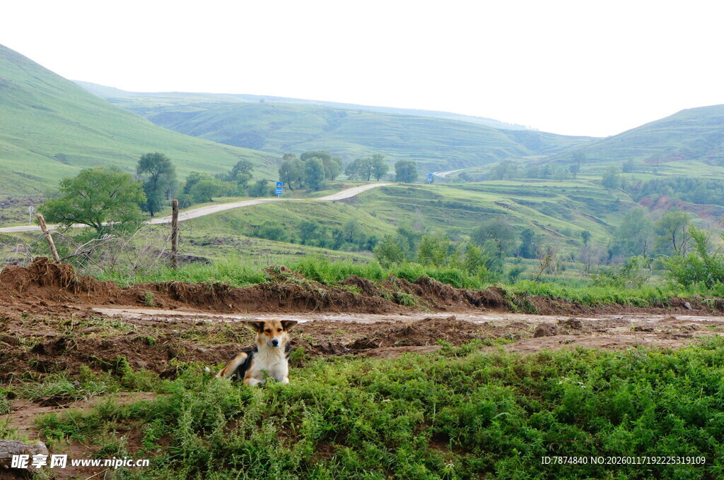 乡村田野间的劳作场景