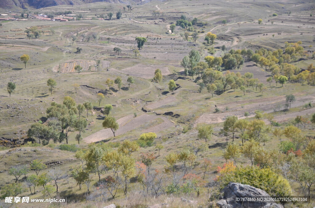 俯瞰多彩山丘景观
