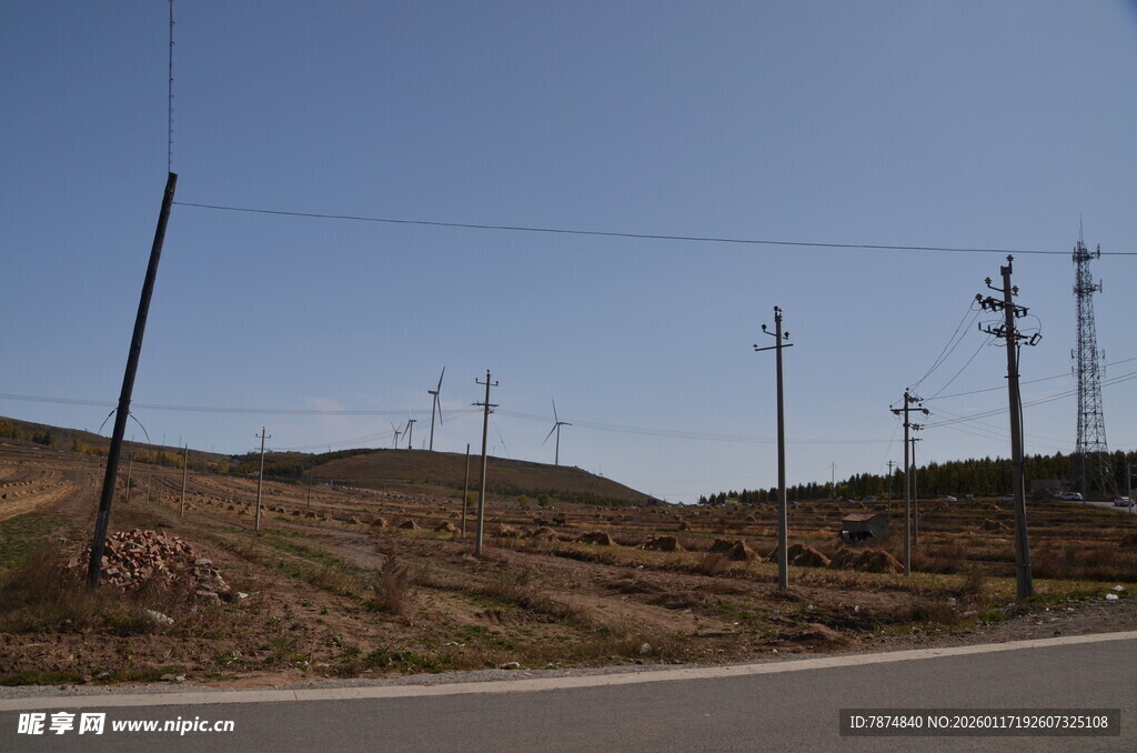 乡村公路旁的电线杆景观
