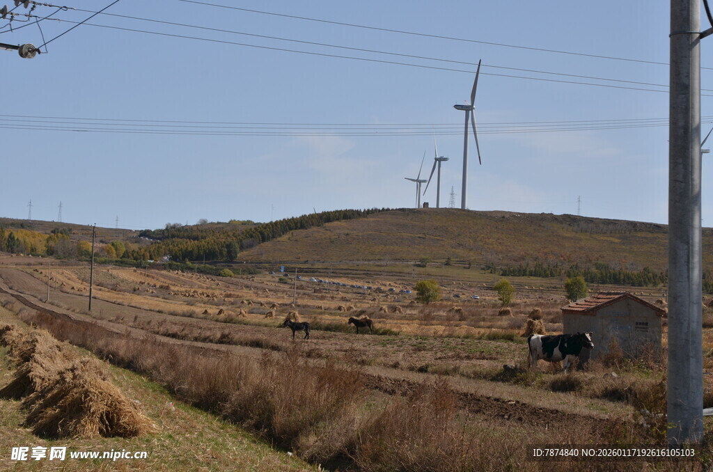 田野上的风力发电机景观