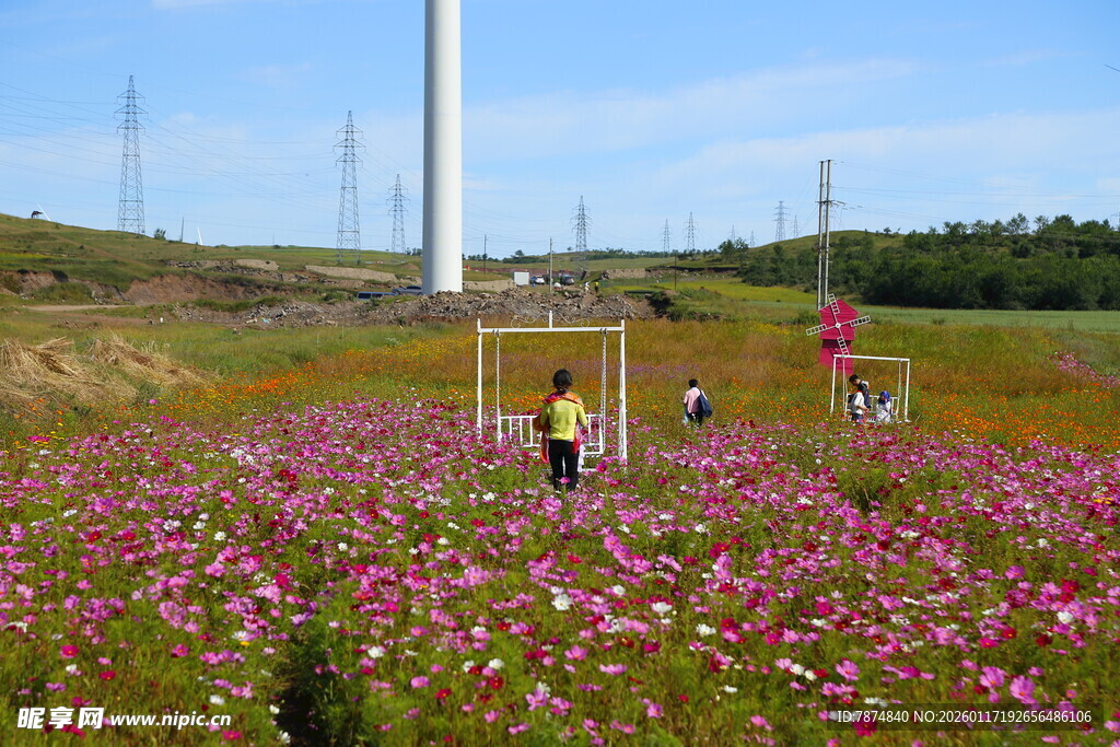 花海中的风力发电景观