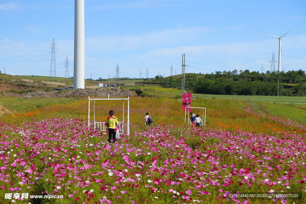 花海中漫步的欢乐人群