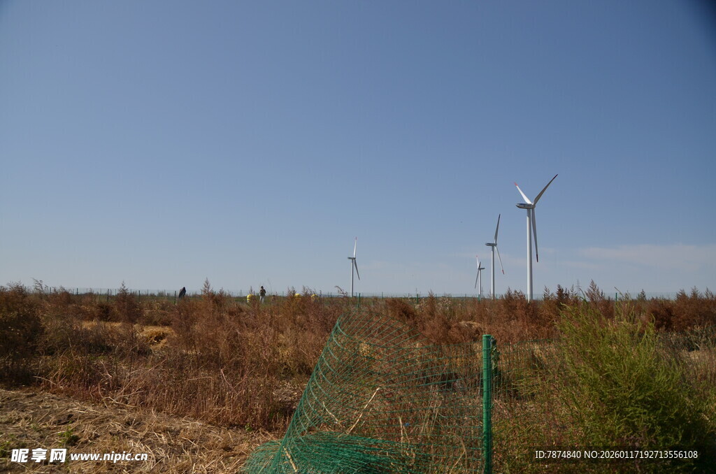 田野中的风力发电机组