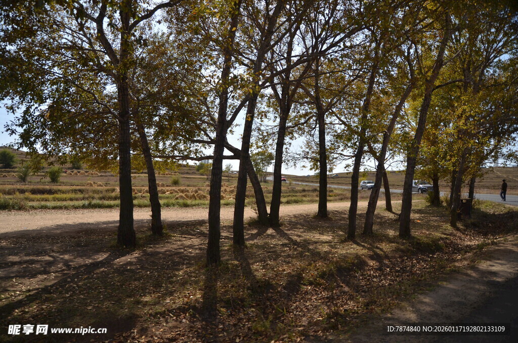 秋日林间小道风景