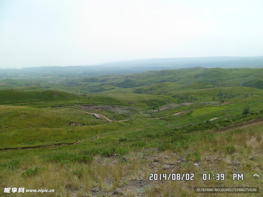 广袤绿野丘陵景观