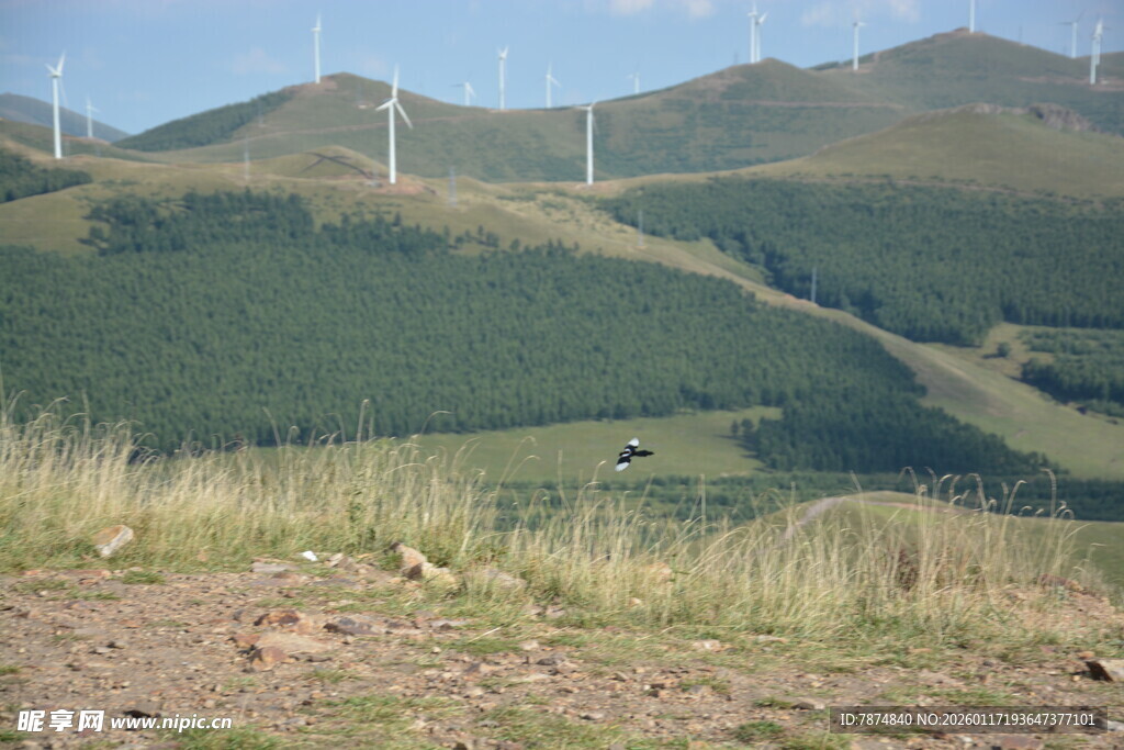 山坡上的风力发电机组