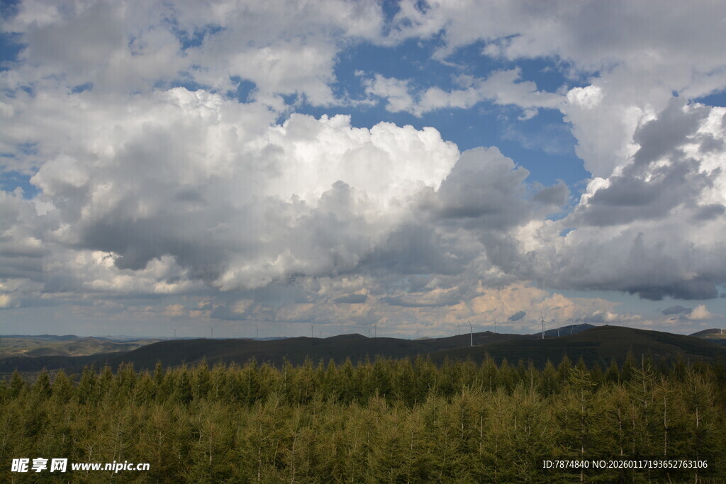 蓝天白云下的葱郁山林