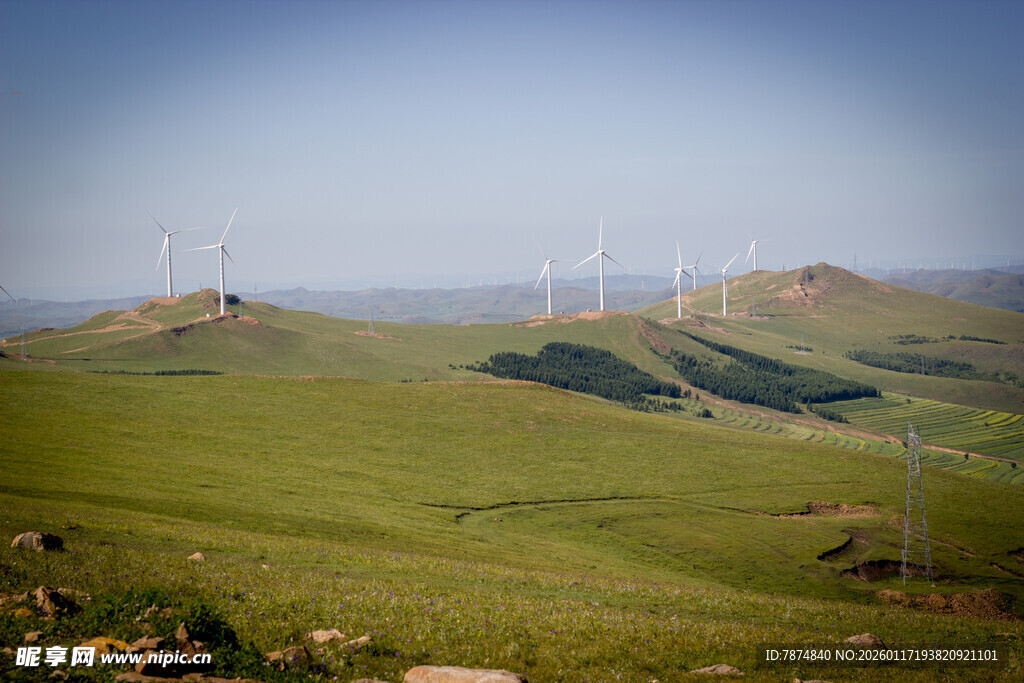 草原上的风力发电机组