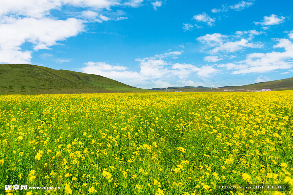 蓝天白云下美景