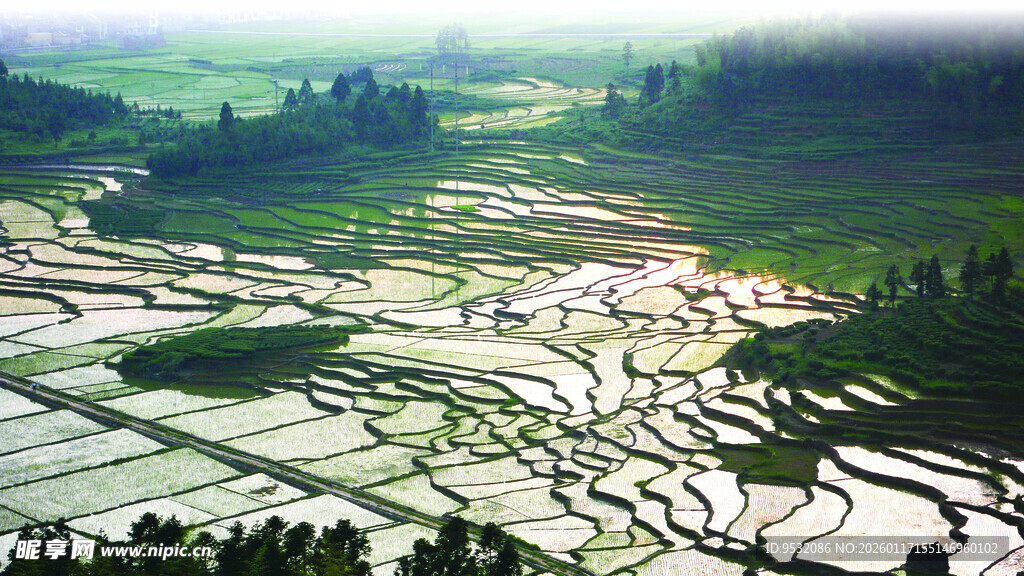 美丽梯田景观风景摄影