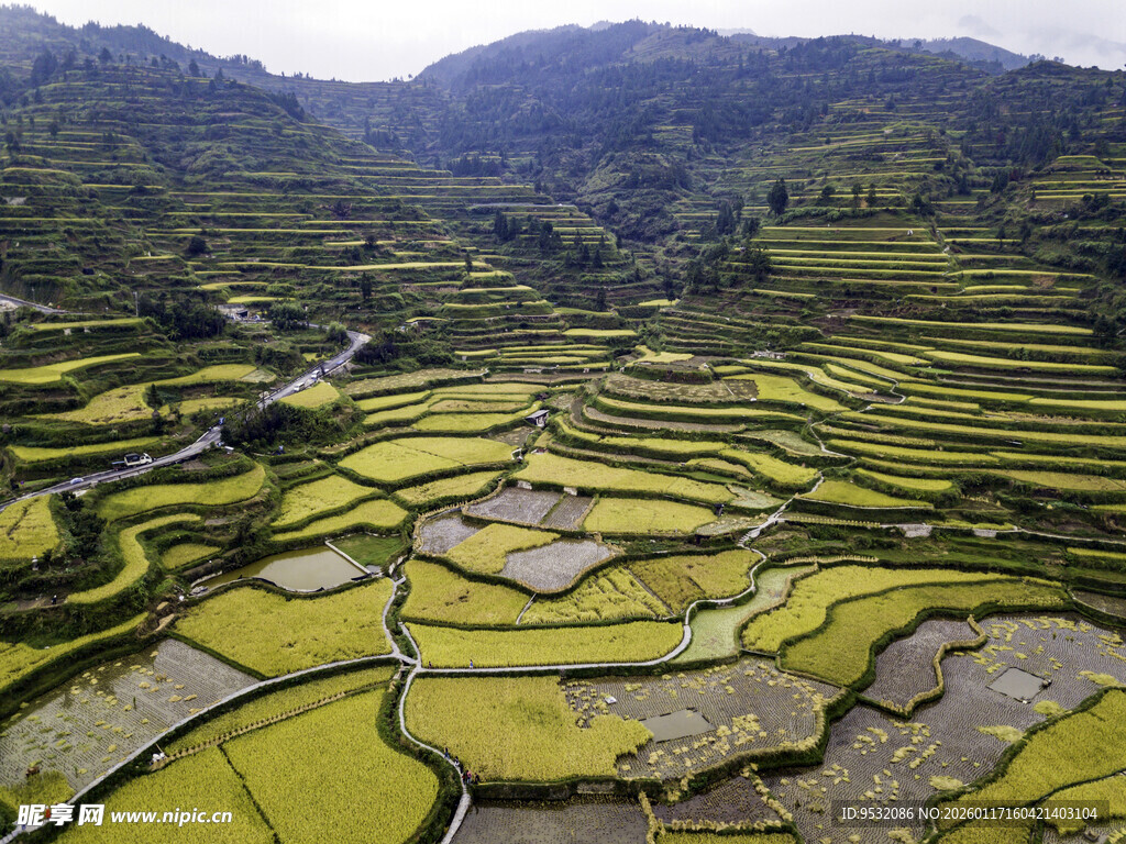 壮观梯田景观
