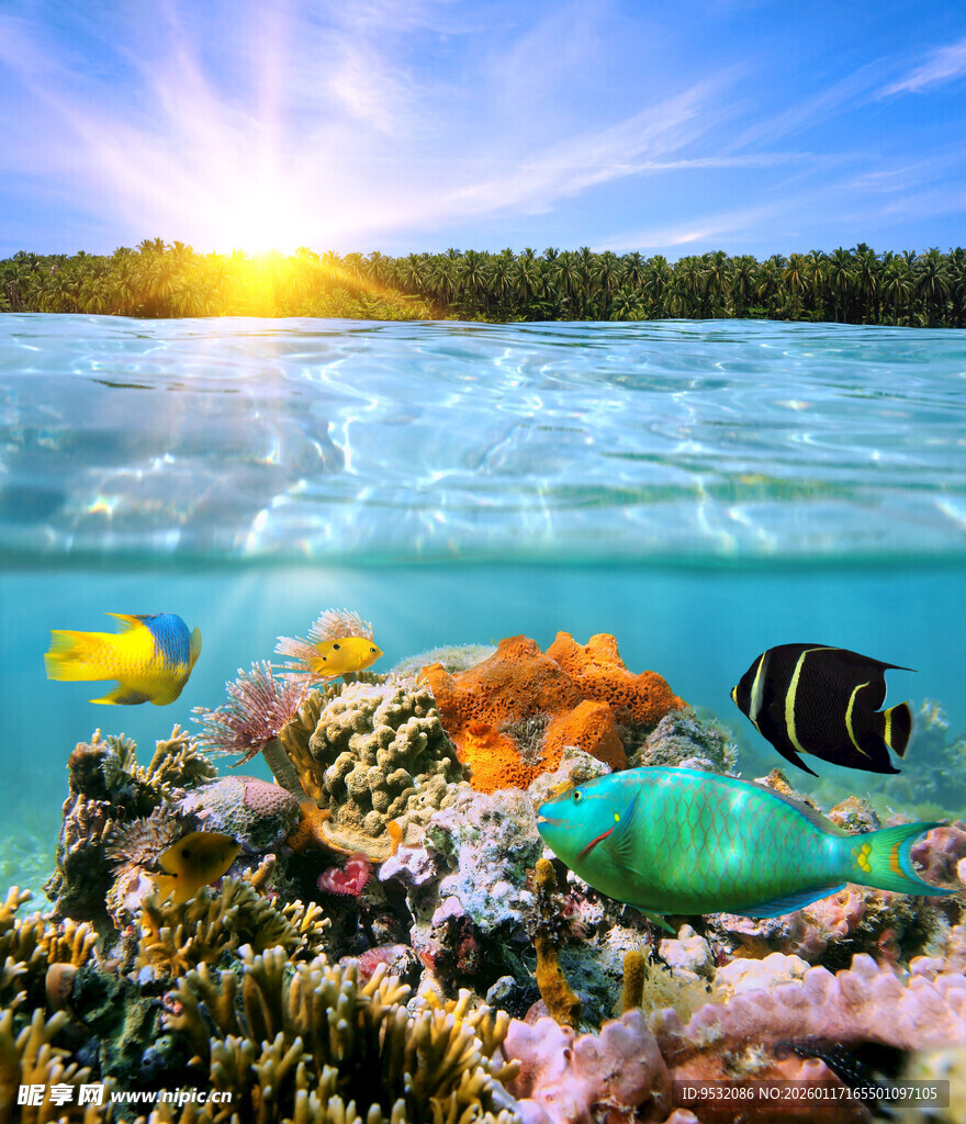 海底梦幻世界与多彩鱼儿