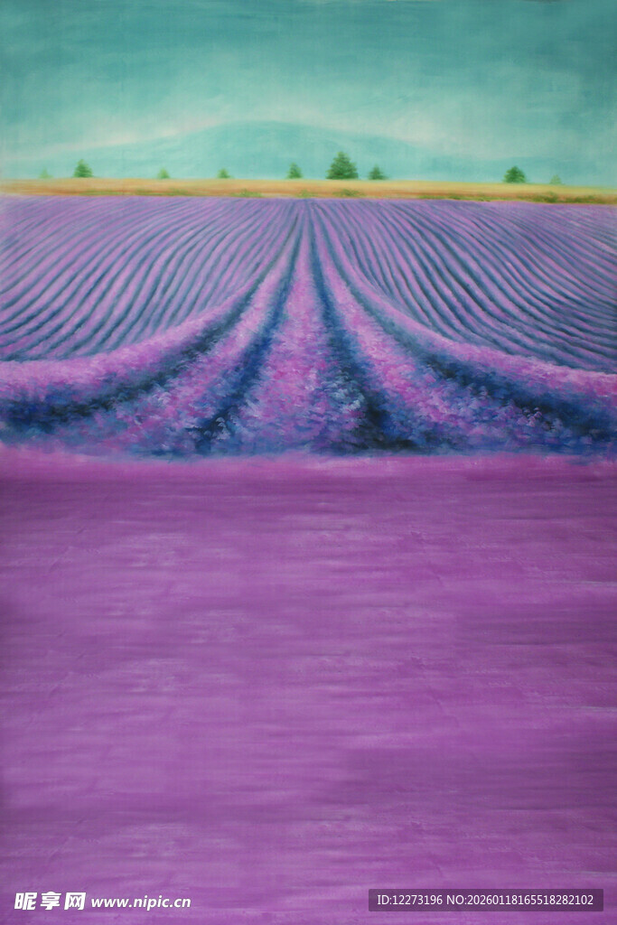 紫色薰衣草田浪漫美景