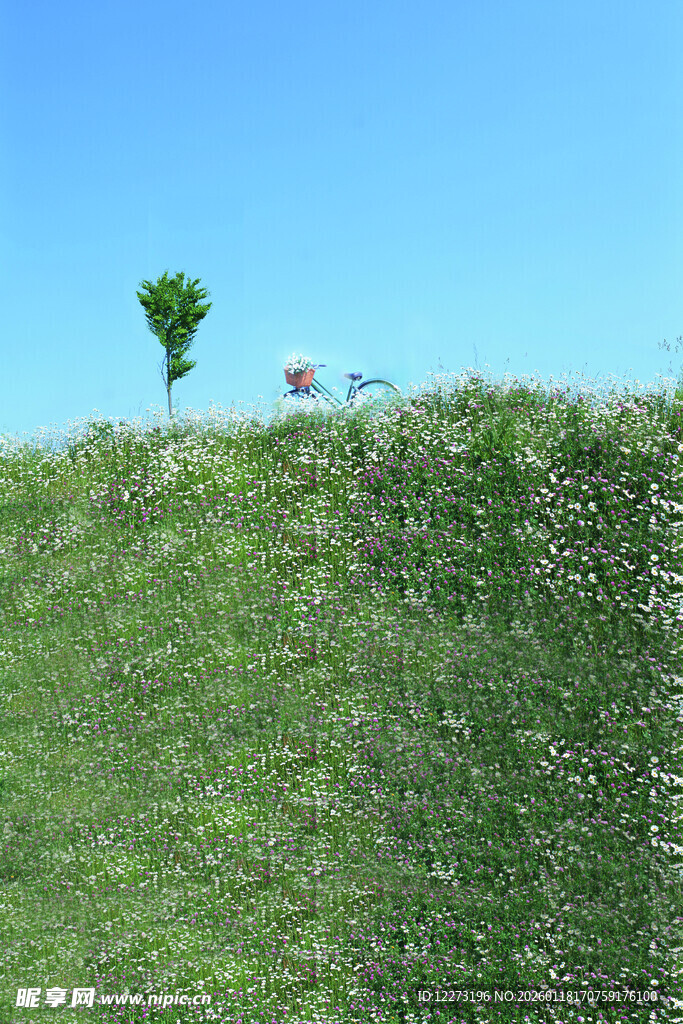 悬崖边的绿植与小物