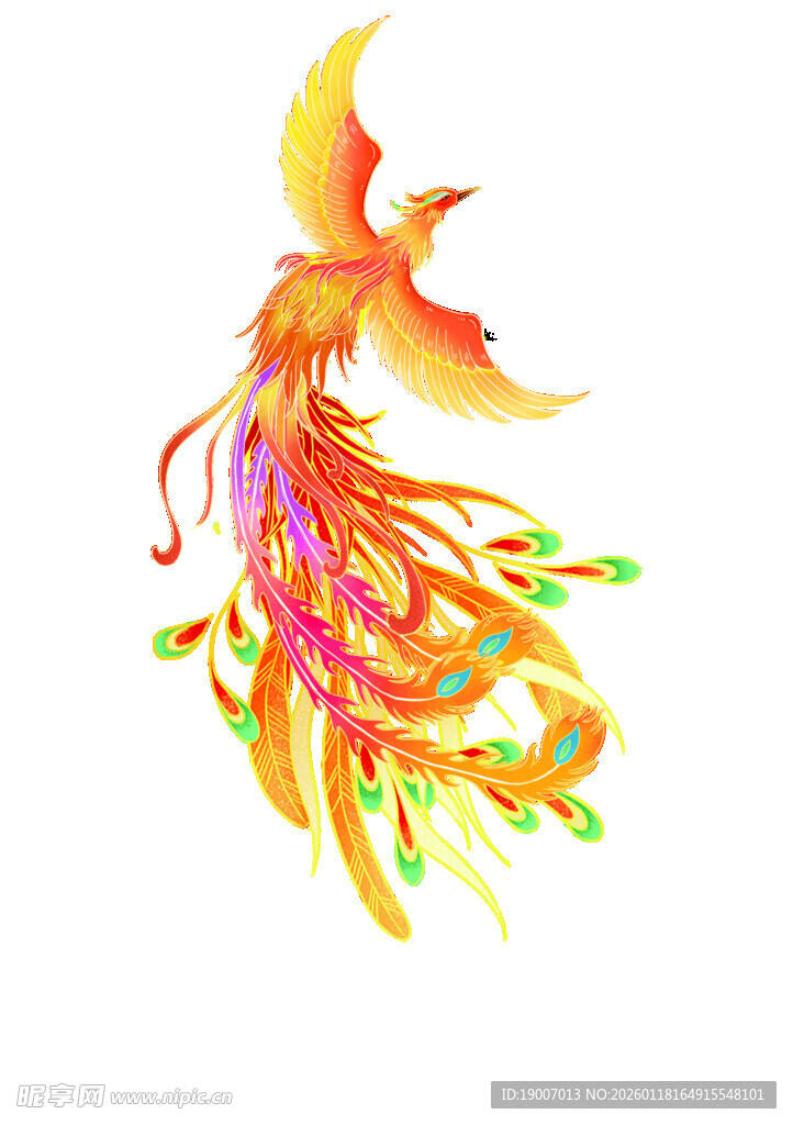 五彩凤凰图  金色凤凰 