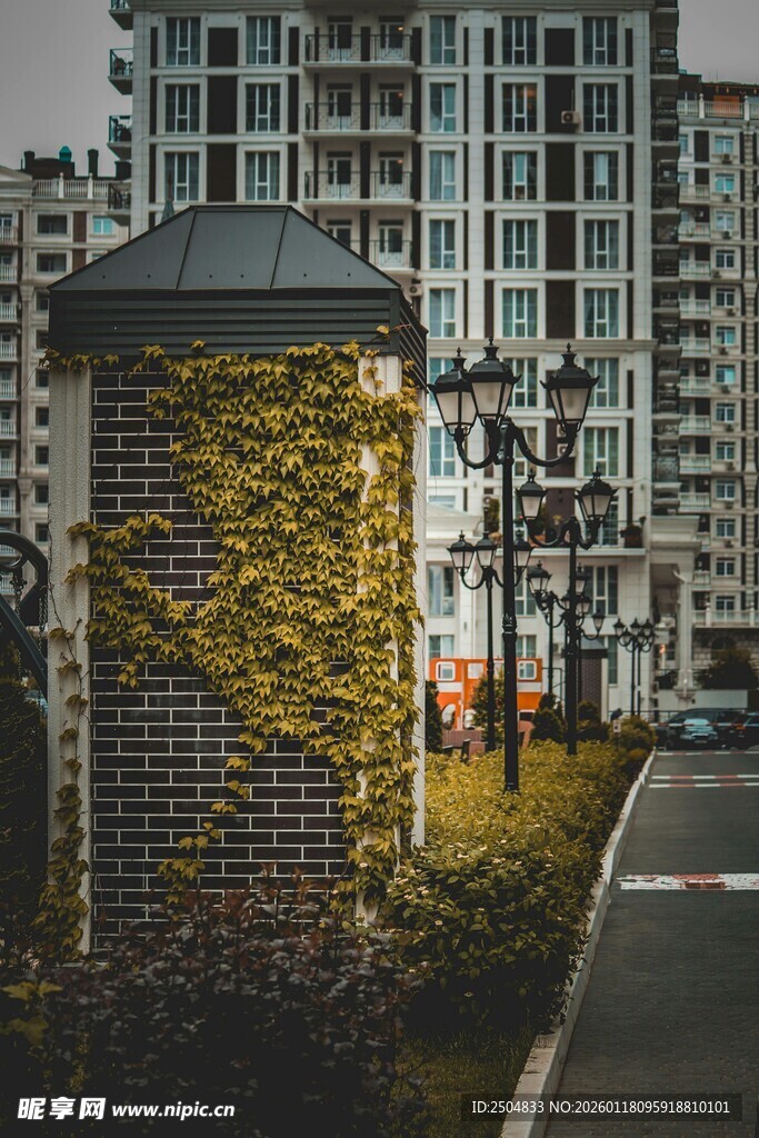 城市路旁绿植装饰的景观柱