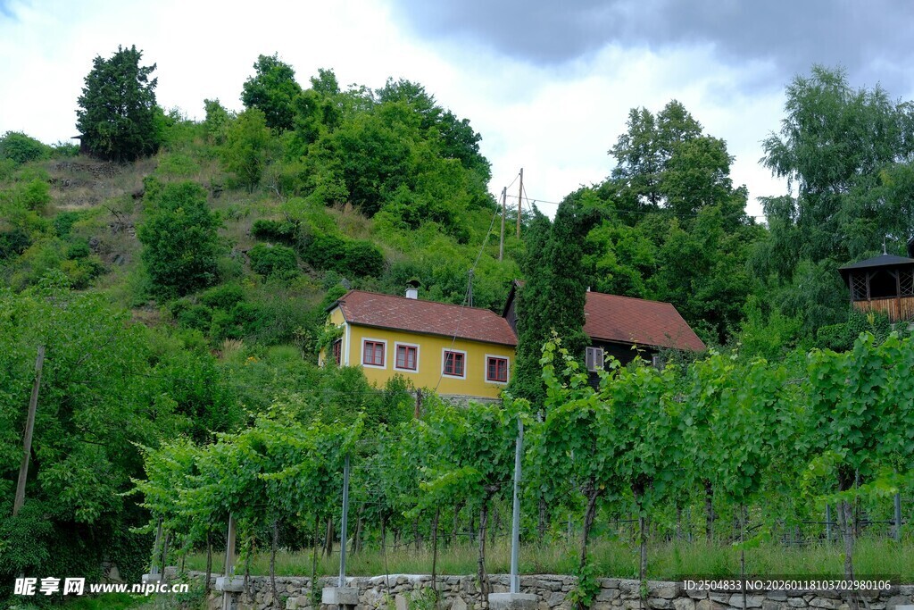 山间绿林中的温馨小屋