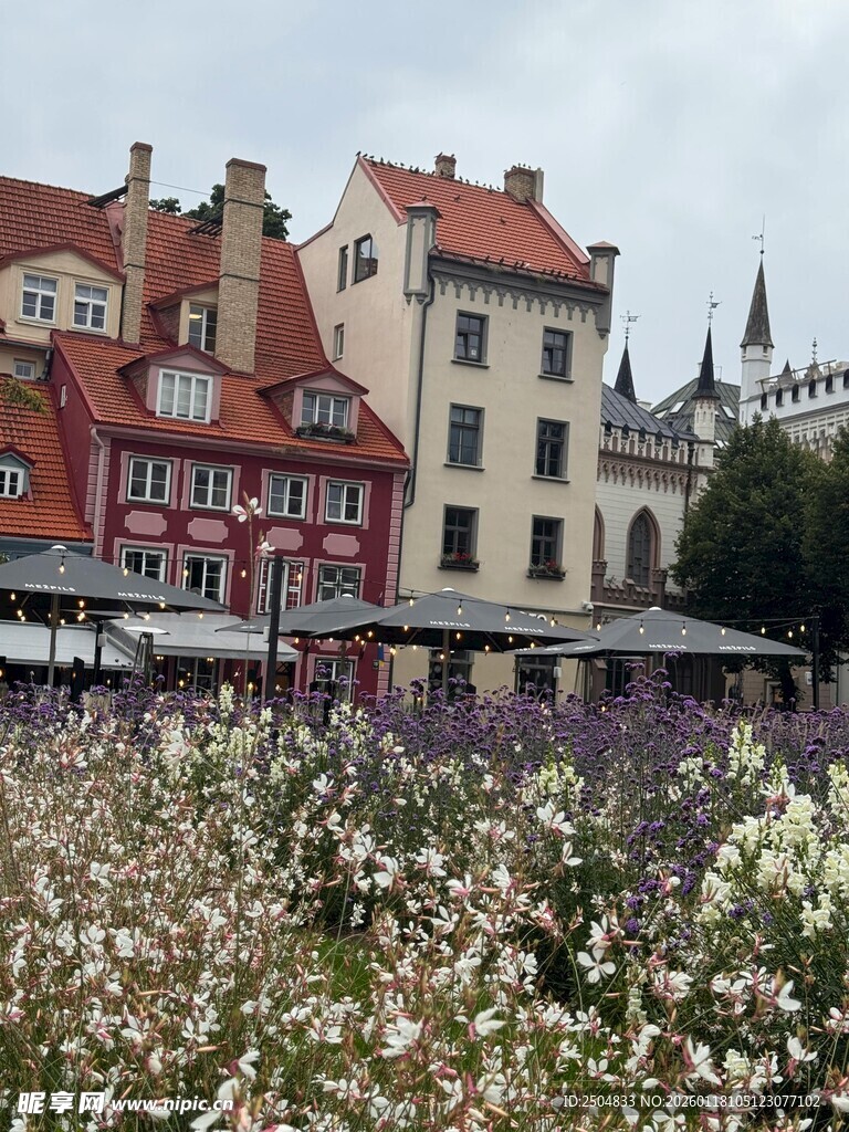  洲小镇繁花簇拥的建筑