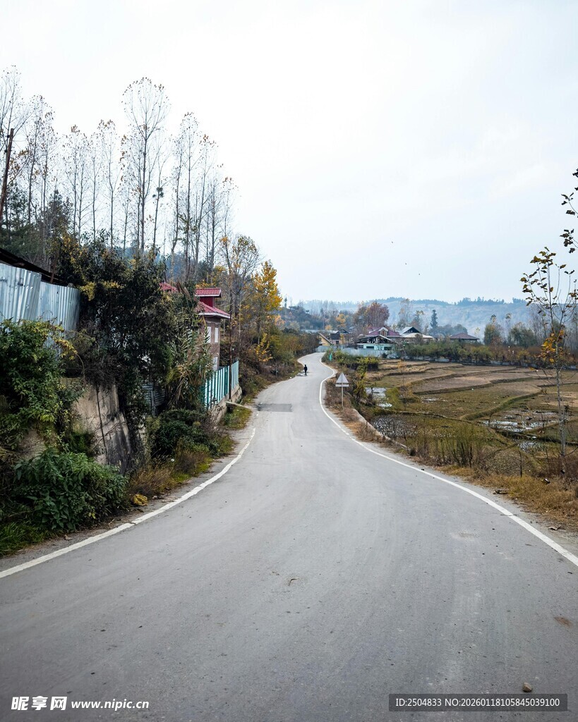 乡村蜿蜒公路风景
