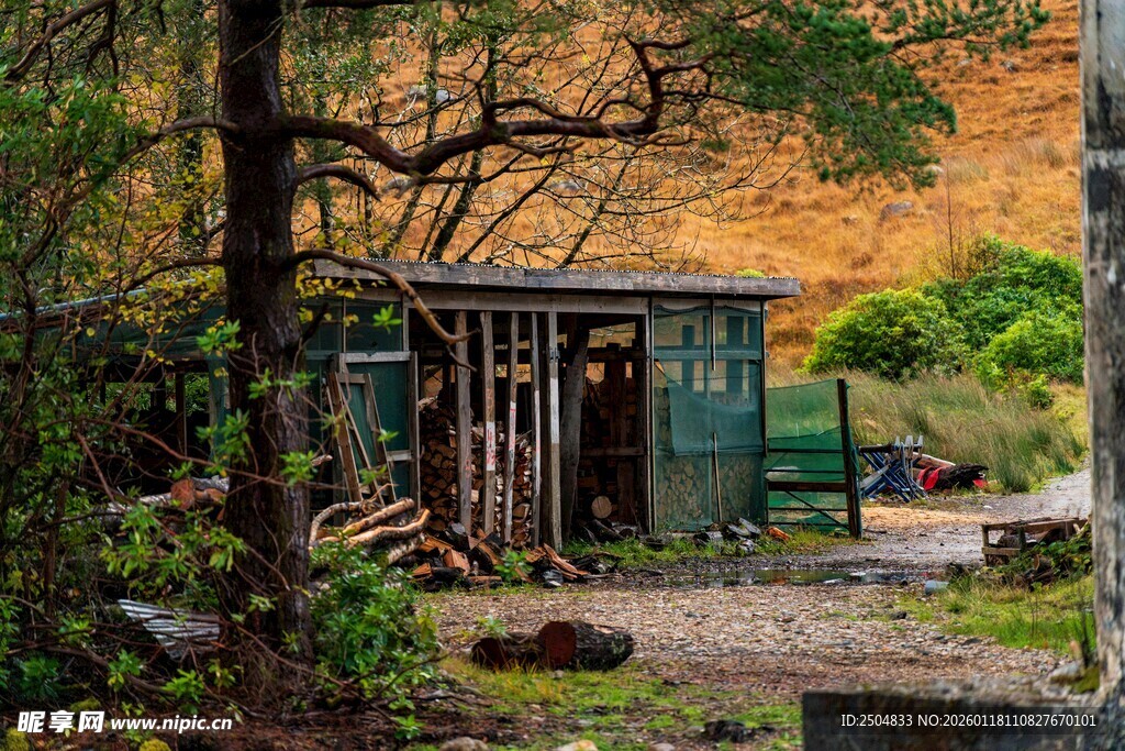 林间小屋 静谧的自然角落