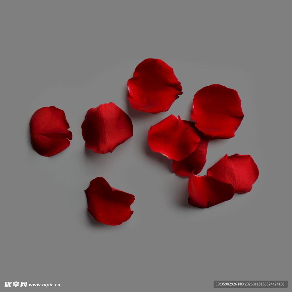 散落的红色玫瑰花瓣