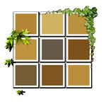 绿植环绕的多彩色块组合