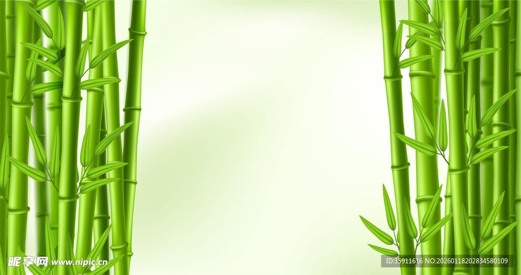 翠绿竹林背景