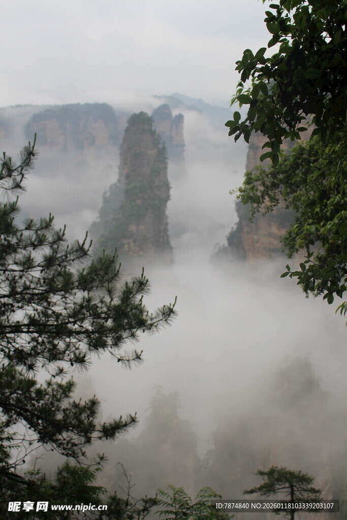 云雾缭绕的壮美山川景观