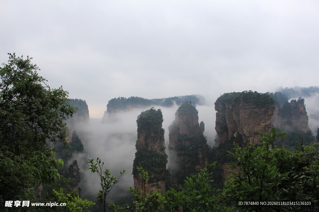 张家界奇峰云雾景观