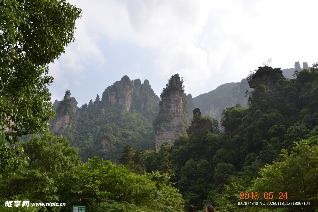 秀丽山峦间的葱郁景致