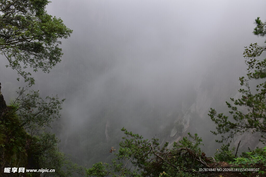 山间云雾缭绕的绿意景致