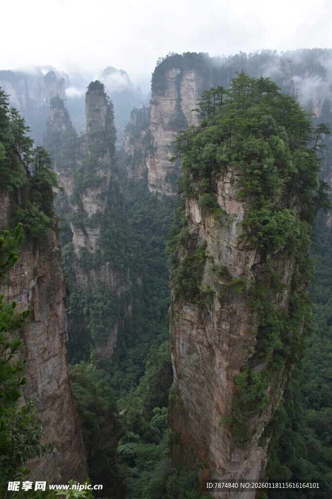 张家界奇峰美景