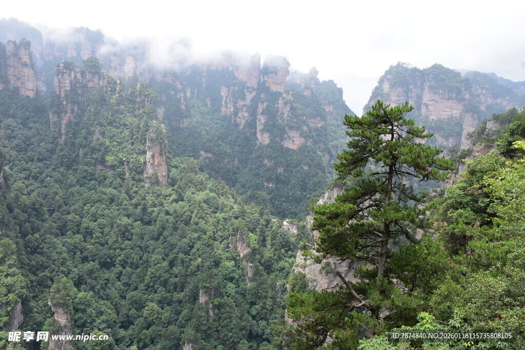 张家界奇峰异景