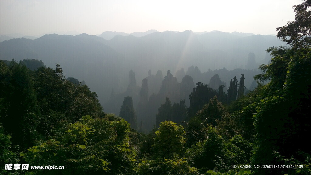 山林晨景 阳光穿透绿意
