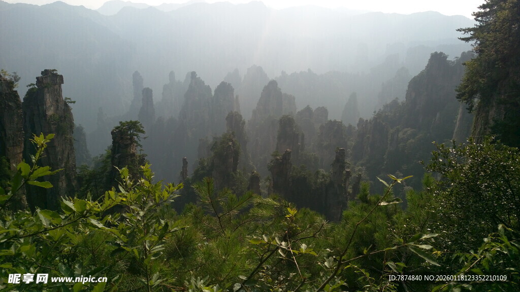 山间晨雾中的葱郁山林