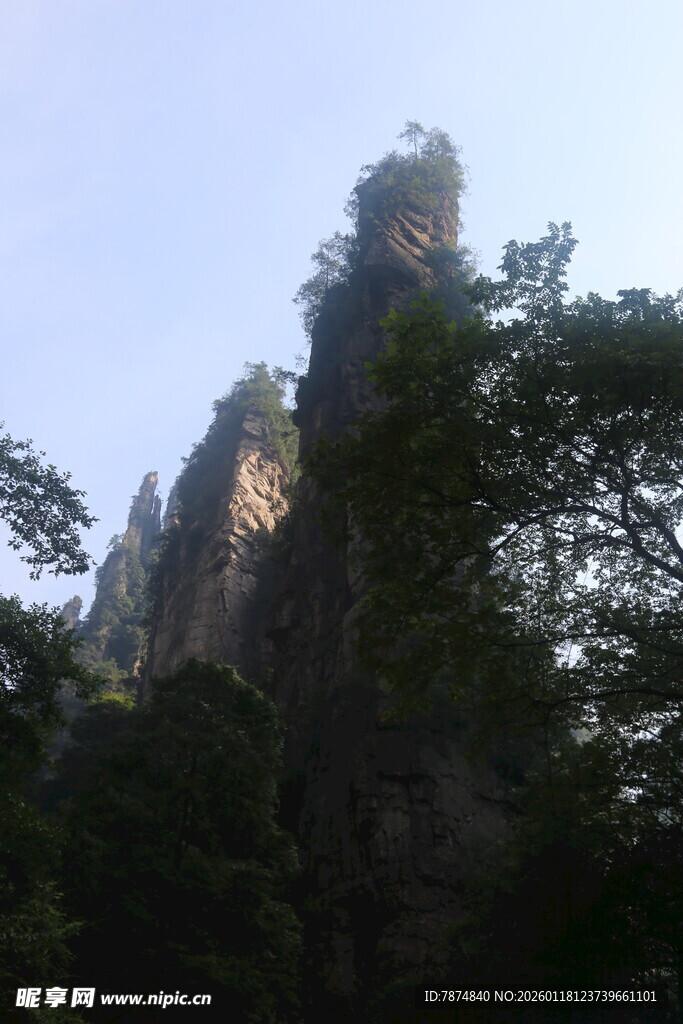 奇峰耸立于葱郁林木间