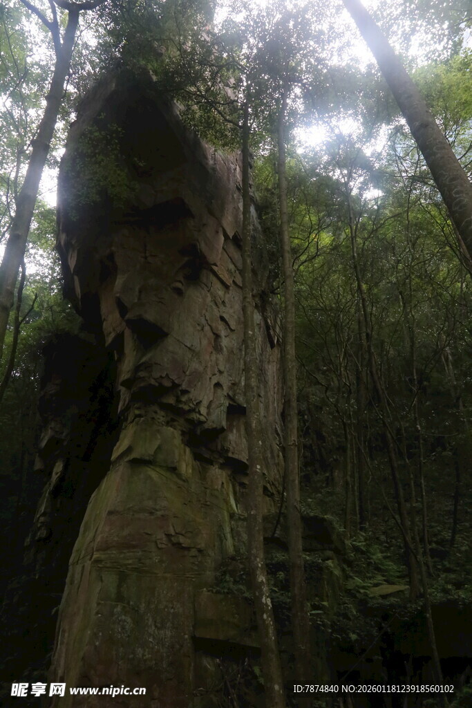 山林中奇特的岩石景观
