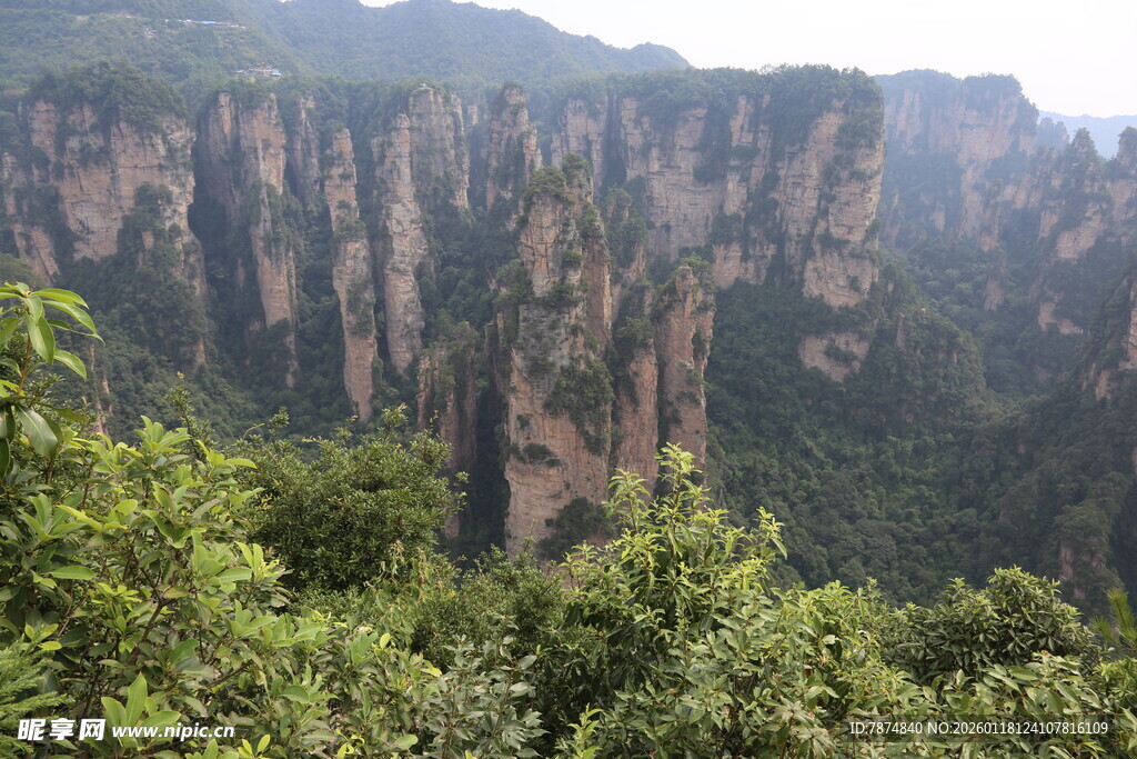 张家界奇峰异景