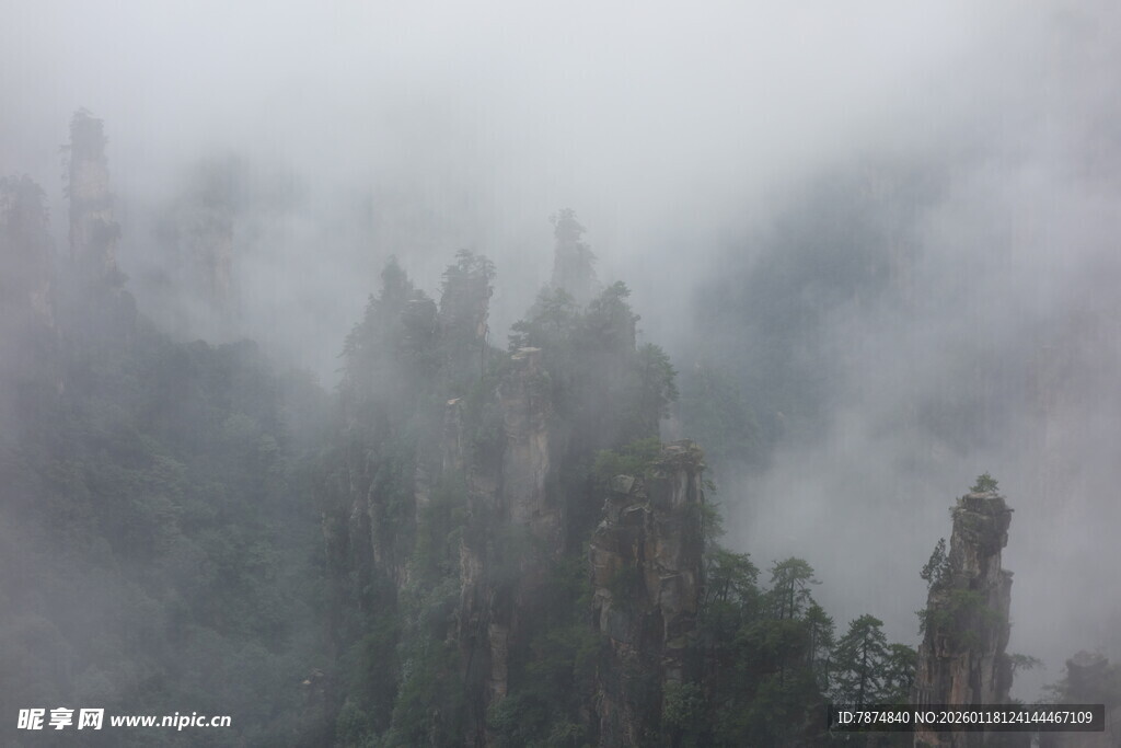 云雾缭绕的壮美山林景观