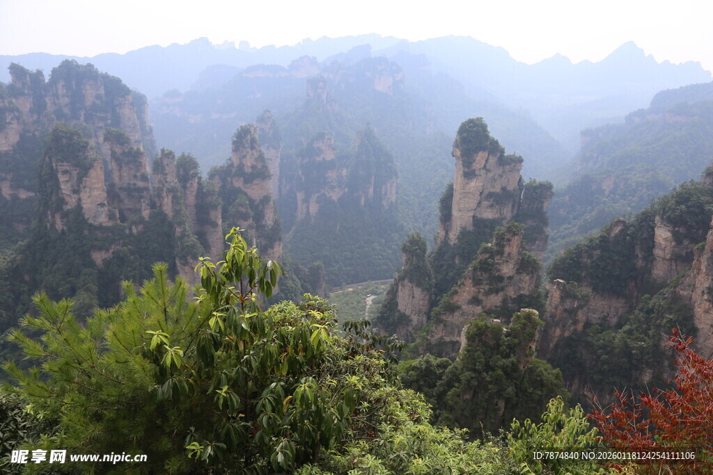 张家界奇峰异景