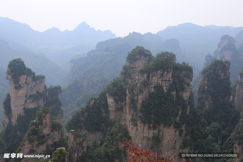 张家界奇峰美景