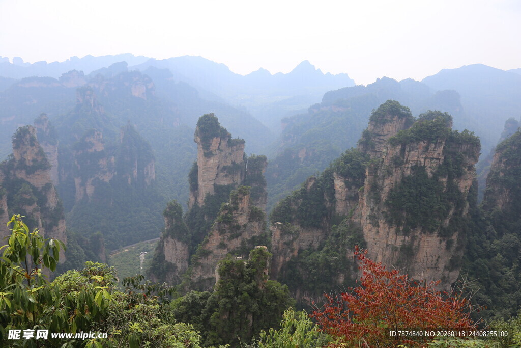 张家界奇峰美景